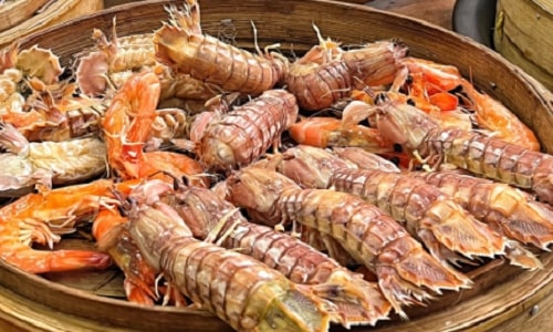 shellfish