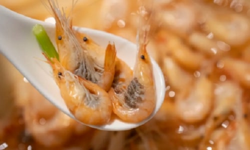shrimp