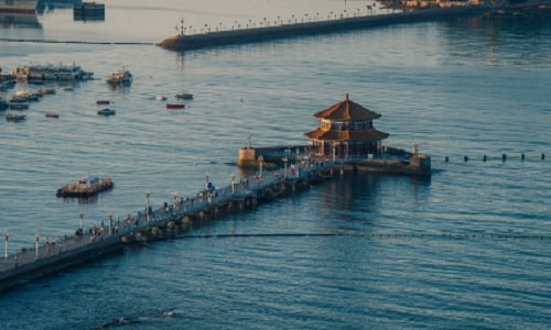 zhan-bridge-qingdao
