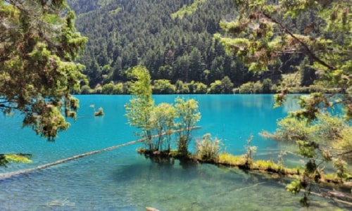 Rhinoceros-Lake
