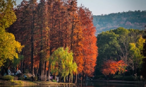 autumn