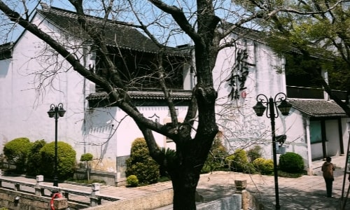 Lili-suzhou