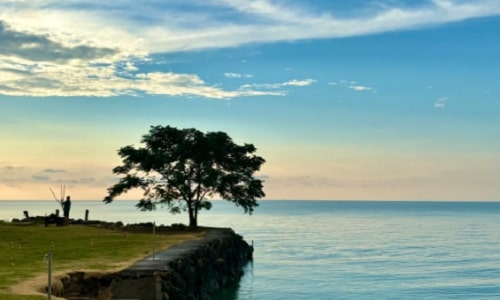 xishan-island-suzhou