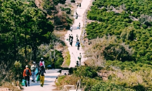 hiking