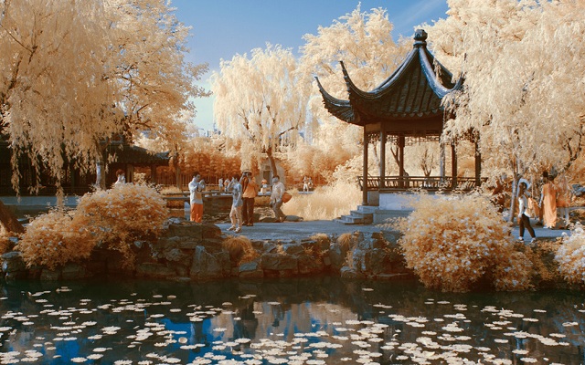 Humble-Administrator’s-Garden7