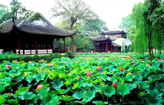 Humble-Administrator’s-Garden21 Humble-Administrator’s-Garden21