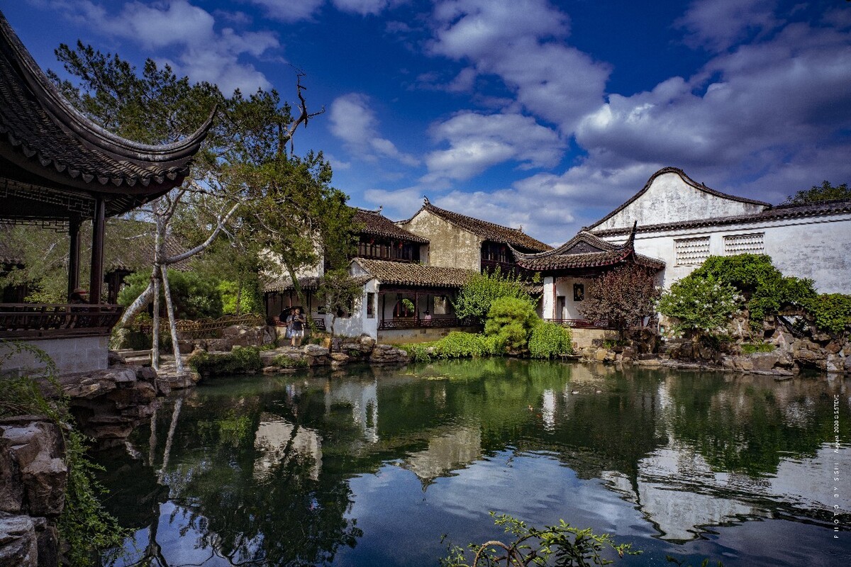 Master-of-Nets-Garden