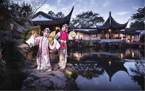 Master-of-the-Nets-Garden-Night-Garden