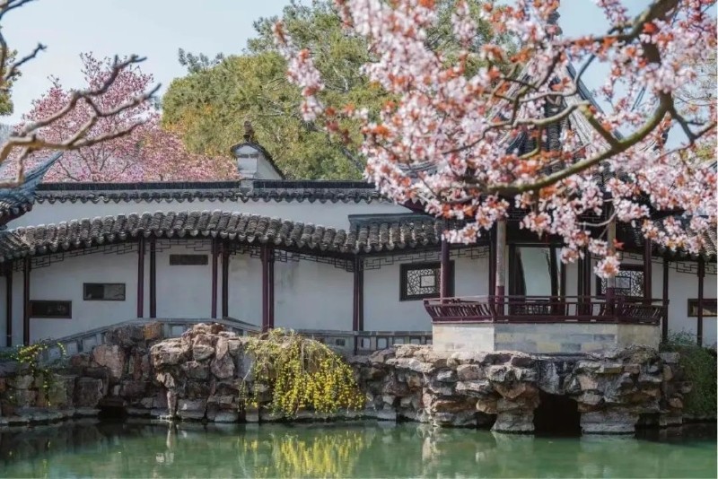 suzhou-spring1