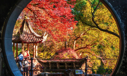 Autumn-suzhou